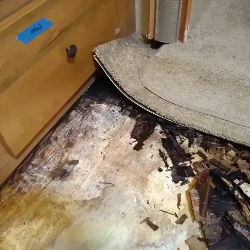 Best Wood Floor Water Damage Service in Princeton, WV